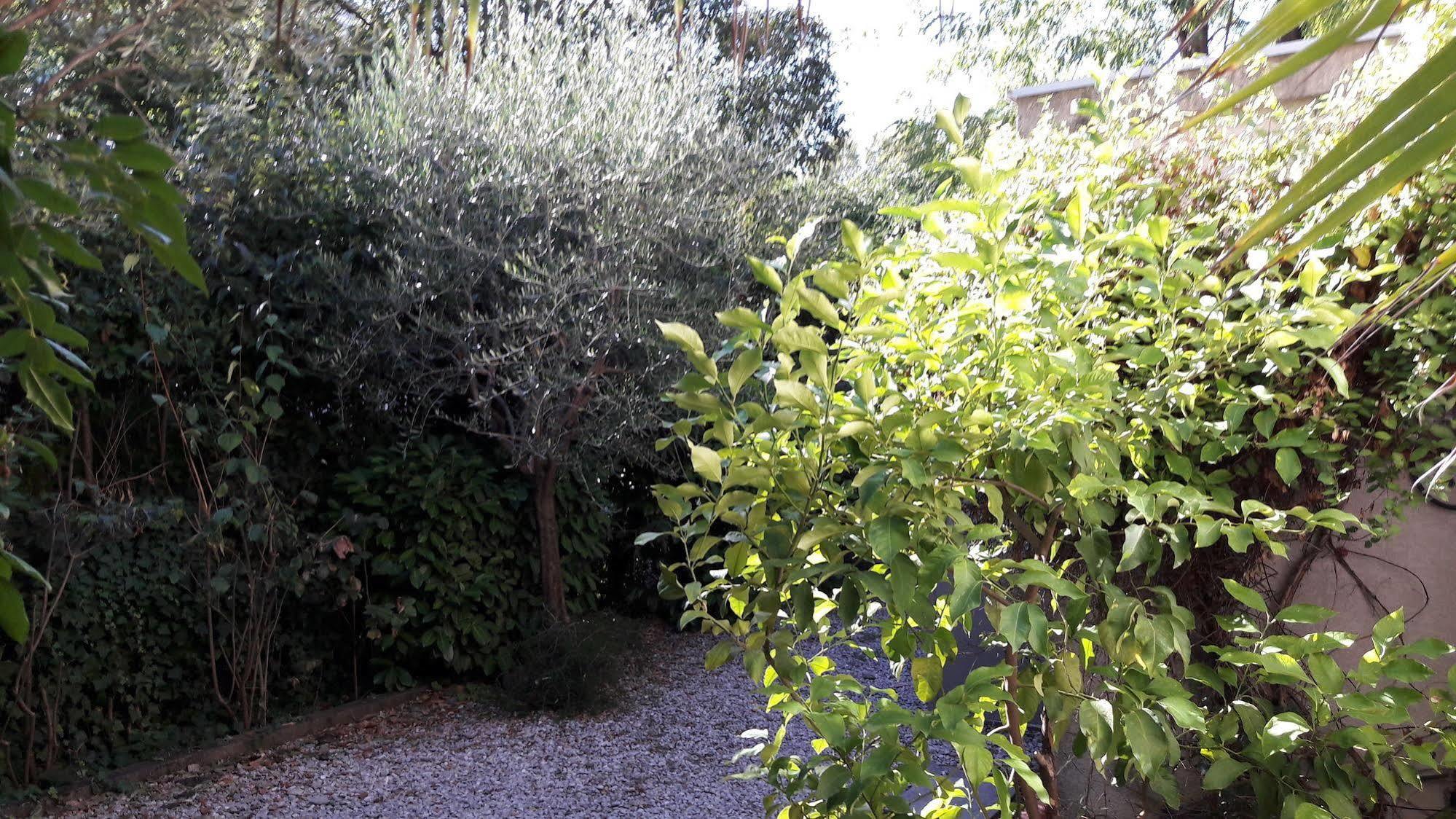 Hotel Les Troenes Montpellier Bagian luar foto